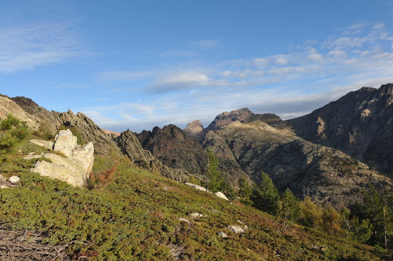 Castel De Vergio Albertacce Esterno foto